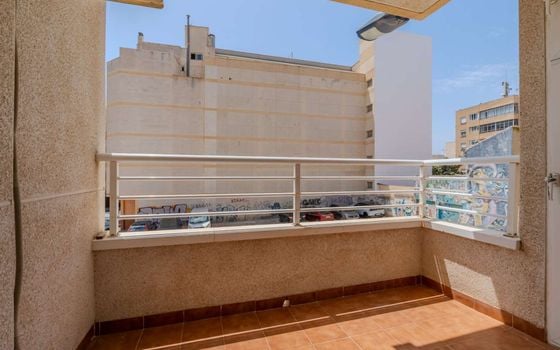 Appartement de 2 chambres à Torrevieja - EGL147109 - Photo - Small - 13
