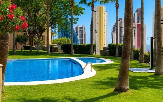 2 bedroom Apartment in Benidorm - SSL147196 - Photo - Small - 19