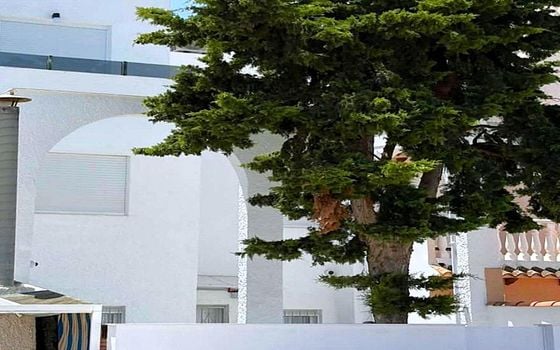 3 bedroom Townhouse in Torrevieja - SV147208 - Photo - Small - 19