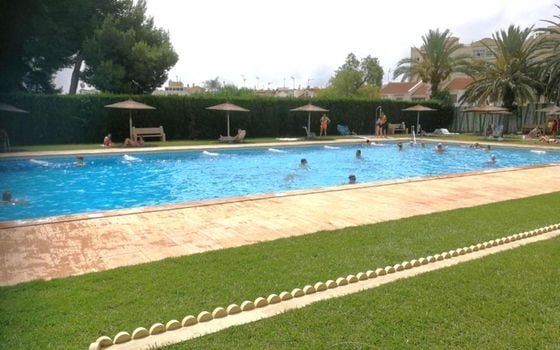3 bedroom Townhouse in Torrevieja - SV147208 - Photo - Small - 24