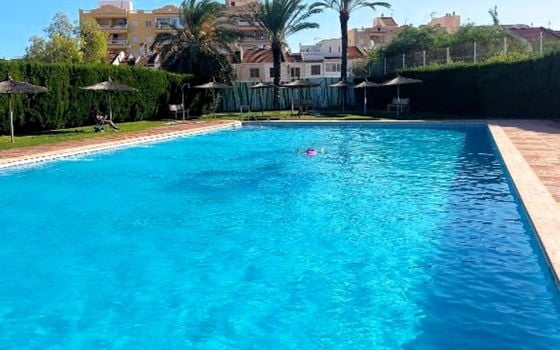 3 bedroom Townhouse in Torrevieja - SV147208 - Photo - Small - 25