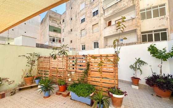 2 bedroom Apartment in Torrevieja - RCJ147373 - Photo - Small - 28