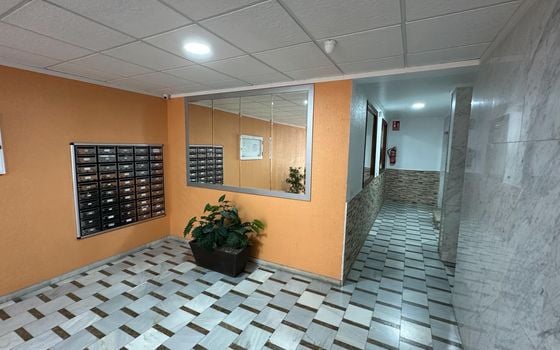 2 bedroom Apartment in Torrevieja - RCJ147374 - Photo - Small - 26