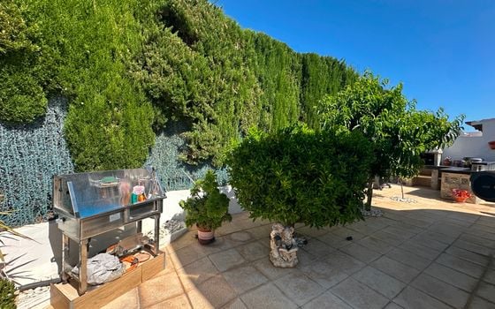 2 bedroom Townhouse in Torrevieja - RCJ147389 - Photo - Small - 31
