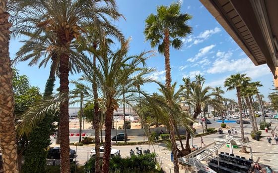 3 bedroom Apartment in Torrevieja - RCJ147393 - Photo - Small - 25