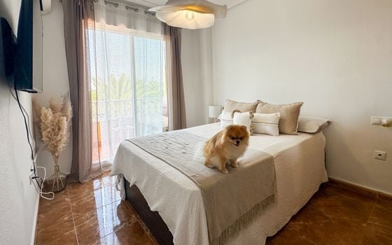 Apartmán   v Guardamar del Segura, 2 ložnice - RCJ147397 - Foto - Small - 12