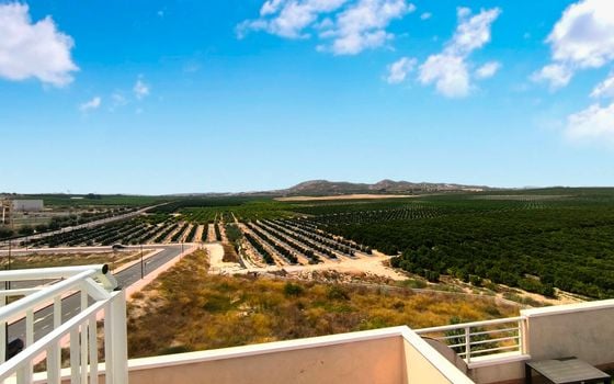 Penthouse de 2 chambres à Algorfa - PR147548 - Photo - Small - 16