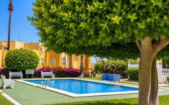 1 bedroom Bungalow in La Mata - CI147553 - Photo - Small - 13