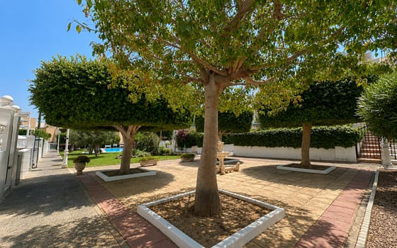 1 bedroom Bungalow in La Mata - CI147553 - Photo - Small - 16