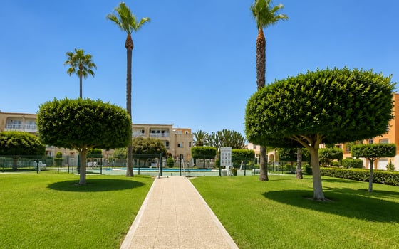 1 bedroom Bungalow in La Mata - CI147553 - Photo - Small - 18