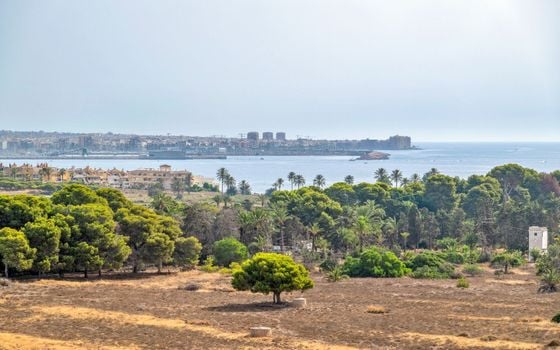 Apartament cu 2 dormitoare în Orihuela Costa - SV147563 - Imagini - Small - 25