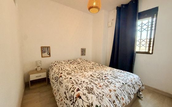 Appartement de 1 chambre à La Mata - CSH147680 - Photo - Small - 8