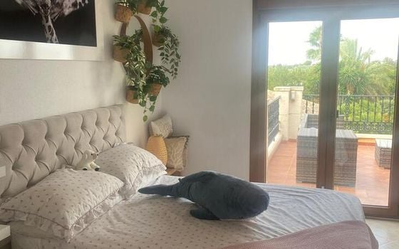 4 bedroom Villa in Orihuela - MNH147740 - Photo - Small - 18