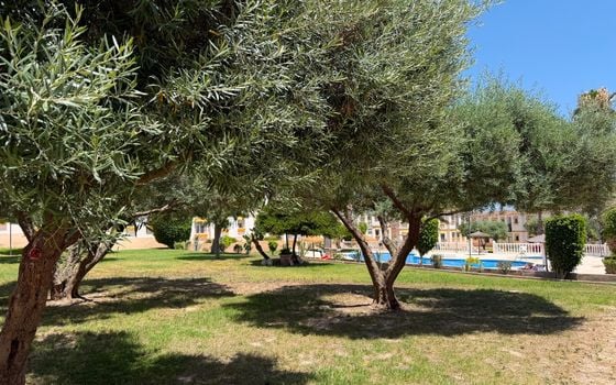 Penthouse   v Orihuela Costa, 1 ložnice - IMO147773 - Foto - Small - 9