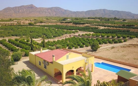 3 bedroom Villa in Albatera - VRE147819 - Photo - Small - 34