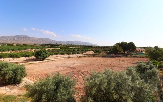 3 bedroom Villa in Albatera - VRE147819 - Photo - Small - 33