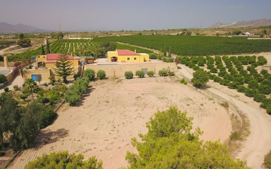 3 bedroom Villa in Albatera - VRE147819 - Photo - Small - 40