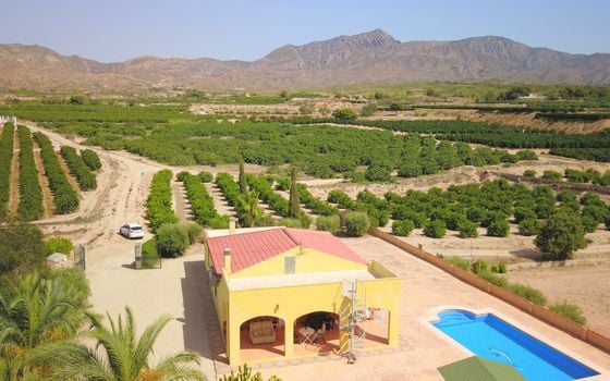 3 bedroom Villa in Albatera - VRE147819 - Photo - Small - 37