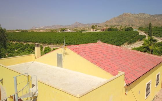 3 bedroom Villa in Albatera - VRE147819 - Photo - Small - 35