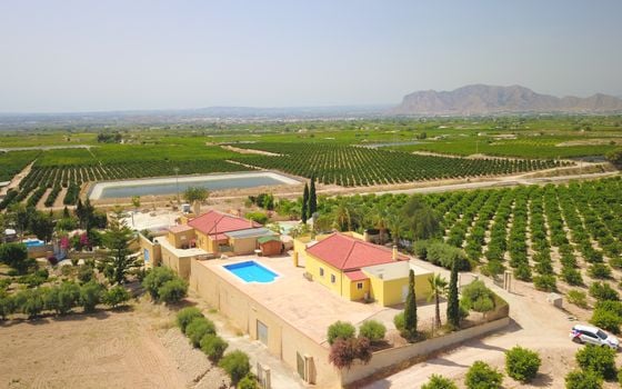 3 bedroom Villa in Albatera - VRE147819 - Photo - Small - 39