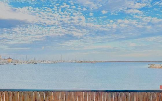 2 bedroom Apartment in Torrevieja - SV148101 - Photo - Small - 27