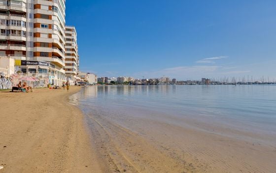 2 bedroom Apartment in Torrevieja - SV148101 - Photo - Small - 36