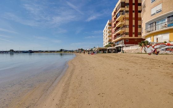 2 bedroom Apartment in Torrevieja - SV148101 - Photo - Small - 37