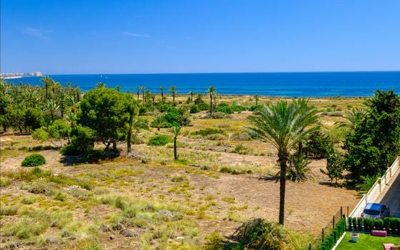 3 bedroom Apartment in Punta Prima - LR148133 - Photo - Small - 26