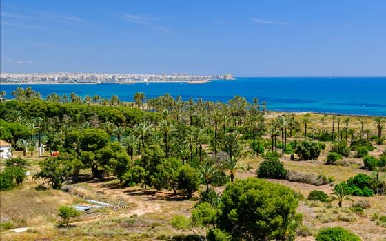 3 bedroom Apartment in Punta Prima - LR148133 - Photo - Small - 27