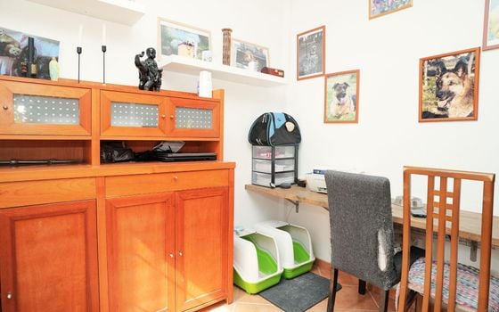 3 bedroom Villa in Los Montesinos - PPS155300 - Photo - Small - 9