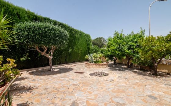 5 bedroom Villa in Algorfa - NHT148303 - Photo - Small - 33