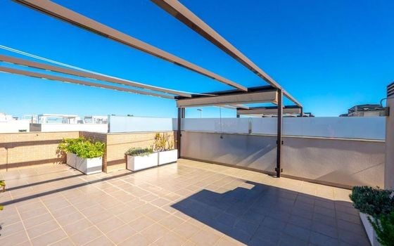 2 bedroom Penthouse in Pilar de la Horadada - CRR148355 - Photo - Small - 20