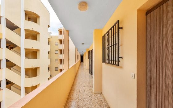 Apartamento de 1 habitación en Guardamar del Segura - GVS148357 - Foto - Small - 18