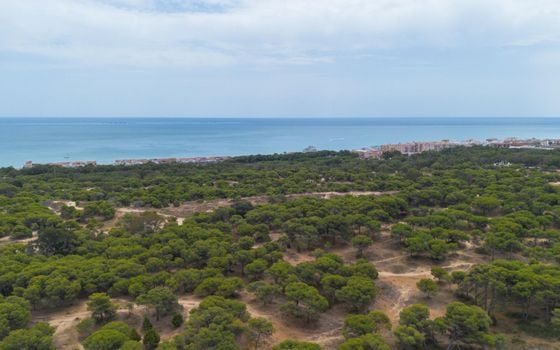 Apartamento de 1 habitación en Guardamar del Segura - GVS148357 - Foto - Small - 24