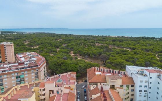 Apartamento de 1 habitación en Guardamar del Segura - GVS148357 - Foto - Small - 22