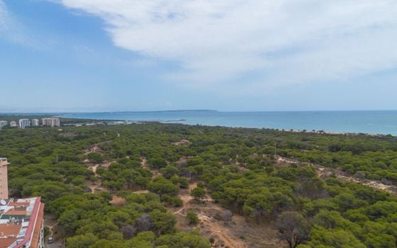 Apartamento de 1 habitación en Guardamar del Segura - GVS148357 - Foto - Small - 23