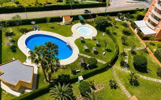 Appartement de 1 chambre à Orihuela Costa - CT148363 - Photo - Small - 11