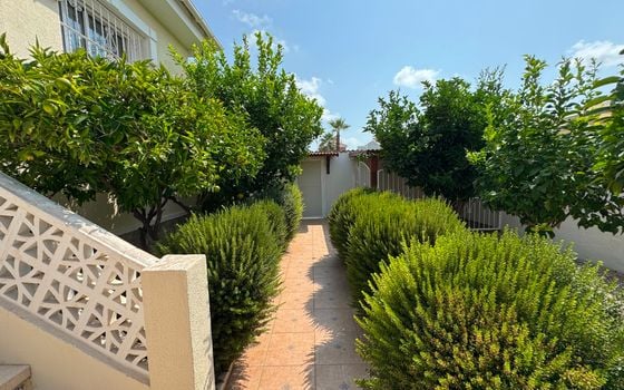 3 bedroom Villa in Ciudad Quesada - NSP148426 - Photo - 3