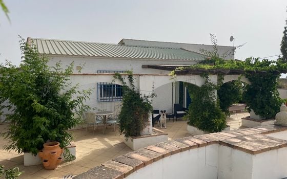 4 bedroom Villa in Totana - VQ148435 - Photo - Small - 17