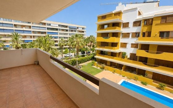 2 bedroom Apartment in Punta Prima - LR148641 - Photo - Small - 13