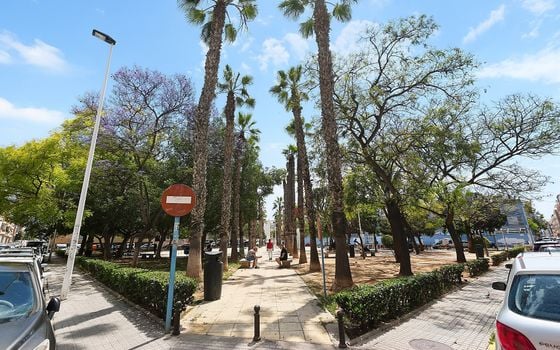 2 bedroom Apartment in Torrevieja - OKW148643 - Photo - Small - 23