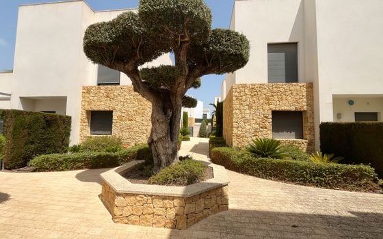 2 bedroom Villa in Ciudad Quesada - VAR148691 - Photo - Small - 25