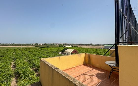 2 bedroom Bungalow in Daya Nueva - RCJ148786 - Photo - Small - 33