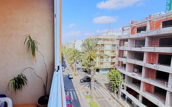 2 bedroom Apartment in Torrevieja - SV149034 - Photo - Small - 14
