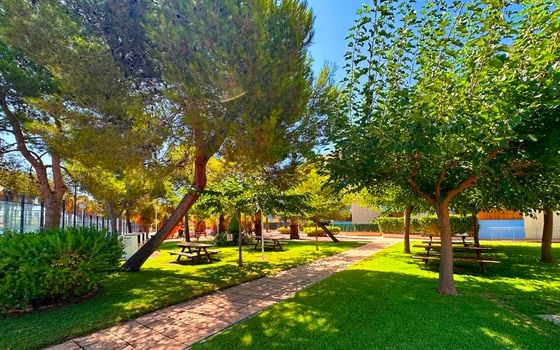 Appartement de 2 chambres à Orihuela Costa - FPS149077 - Photo - Small - 29