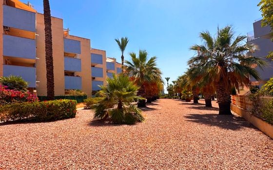 Appartement de 2 chambres à Orihuela Costa - FPS149077 - Photo - Small - 23