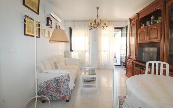 2 bedroom Apartment in Torrevieja - ALM149116 - Photo - 5