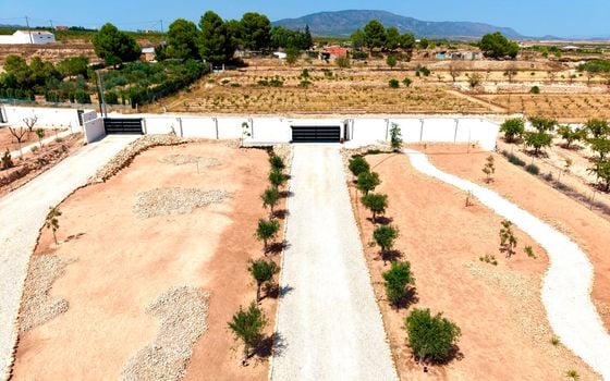 Vilă cu 5 dormitoare în Pinoso - BCH149246 - Imagini - Small - 47