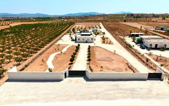 Vilă cu 5 dormitoare în Pinoso - BCH149246 - Imagini - Small - 46