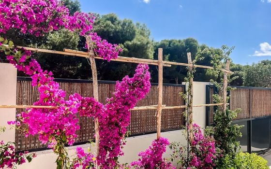 3 bedroom Apartment in Santiago de la Ribera - GS149463 - Photo - Small - 24